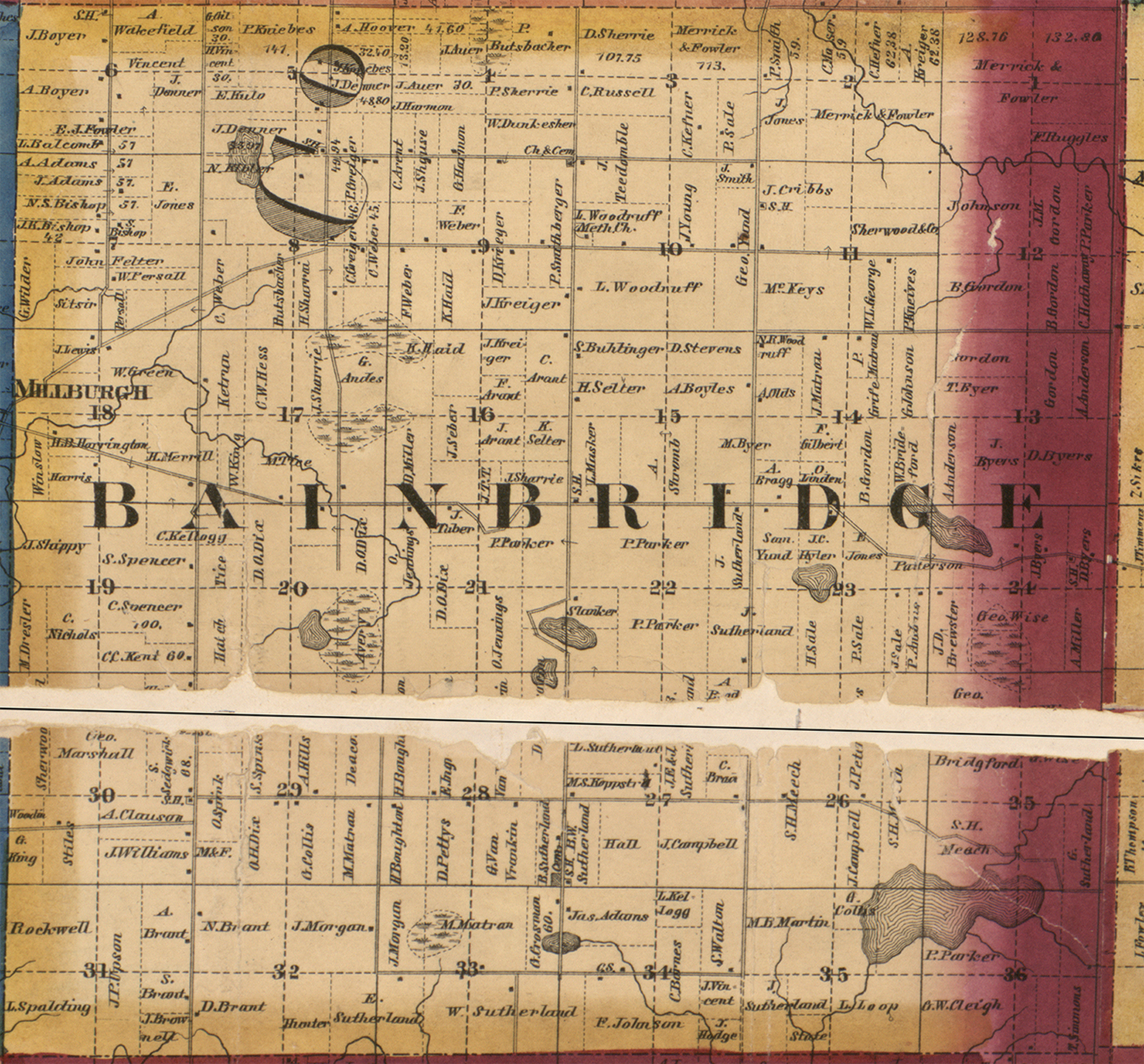 1860 Bainbridge Township, Michigan landownership map