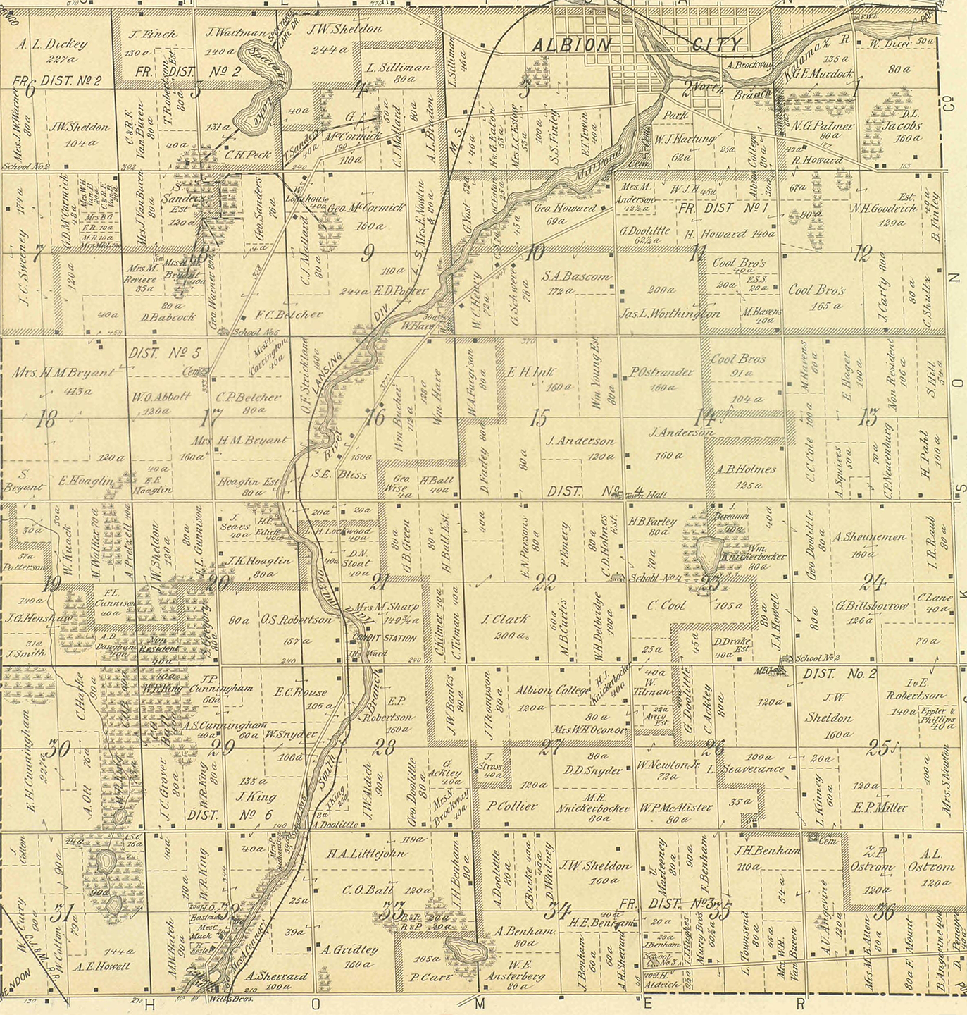 1894 Albion Township, Michigan landownership map