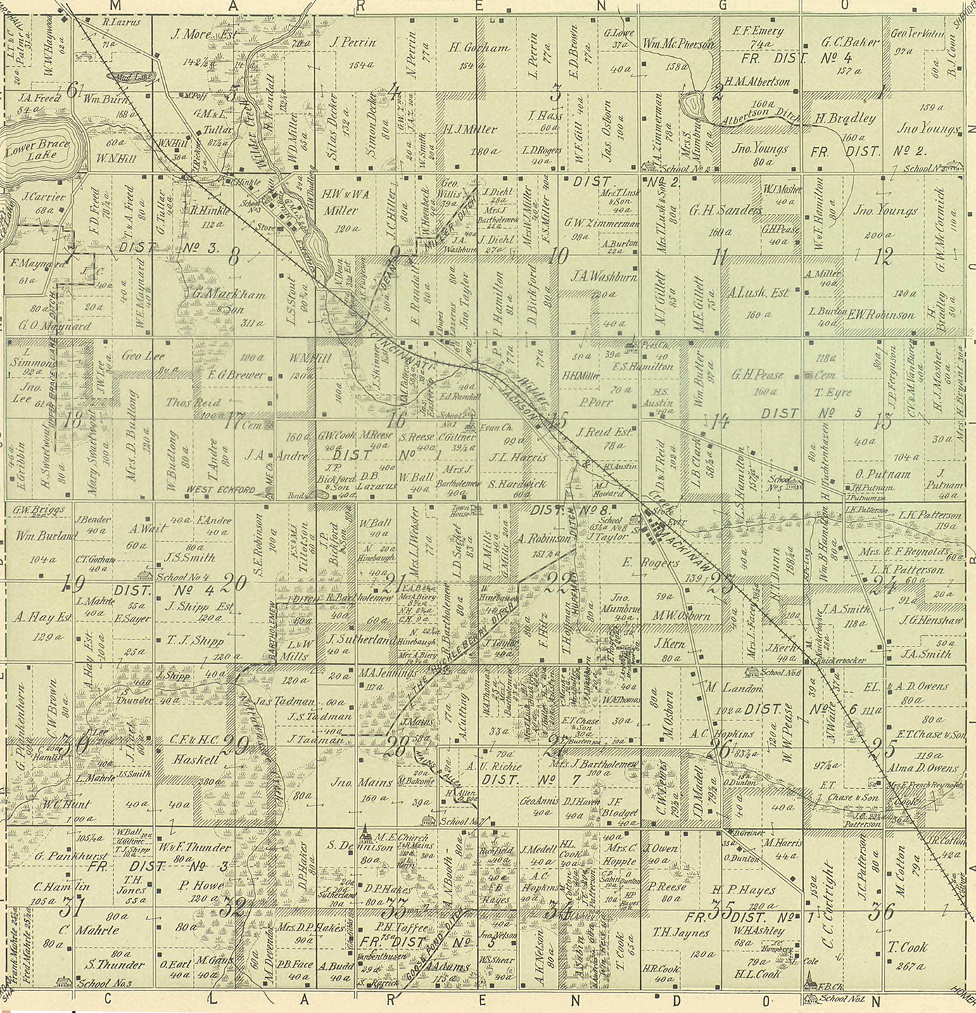 1894 Eckford Township, Michigan landownership map