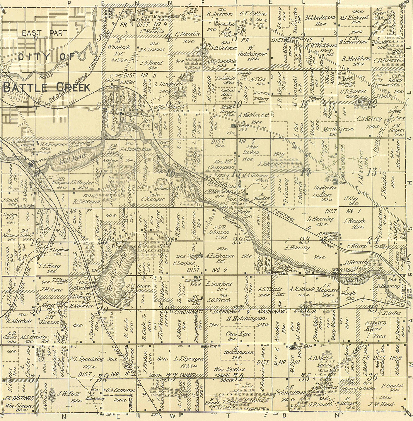 1894 Emmett Township, Michigan landownership map