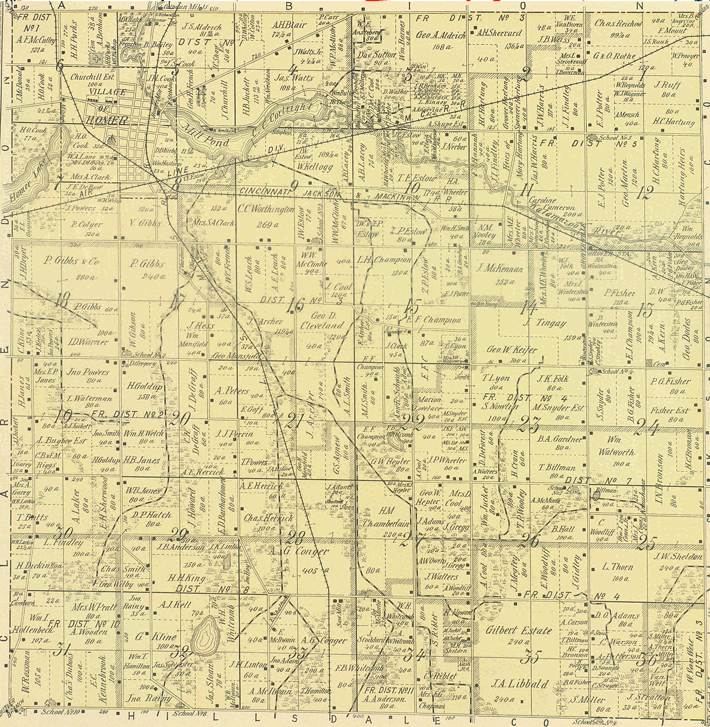1894 Homer Township, Michigan landownership map