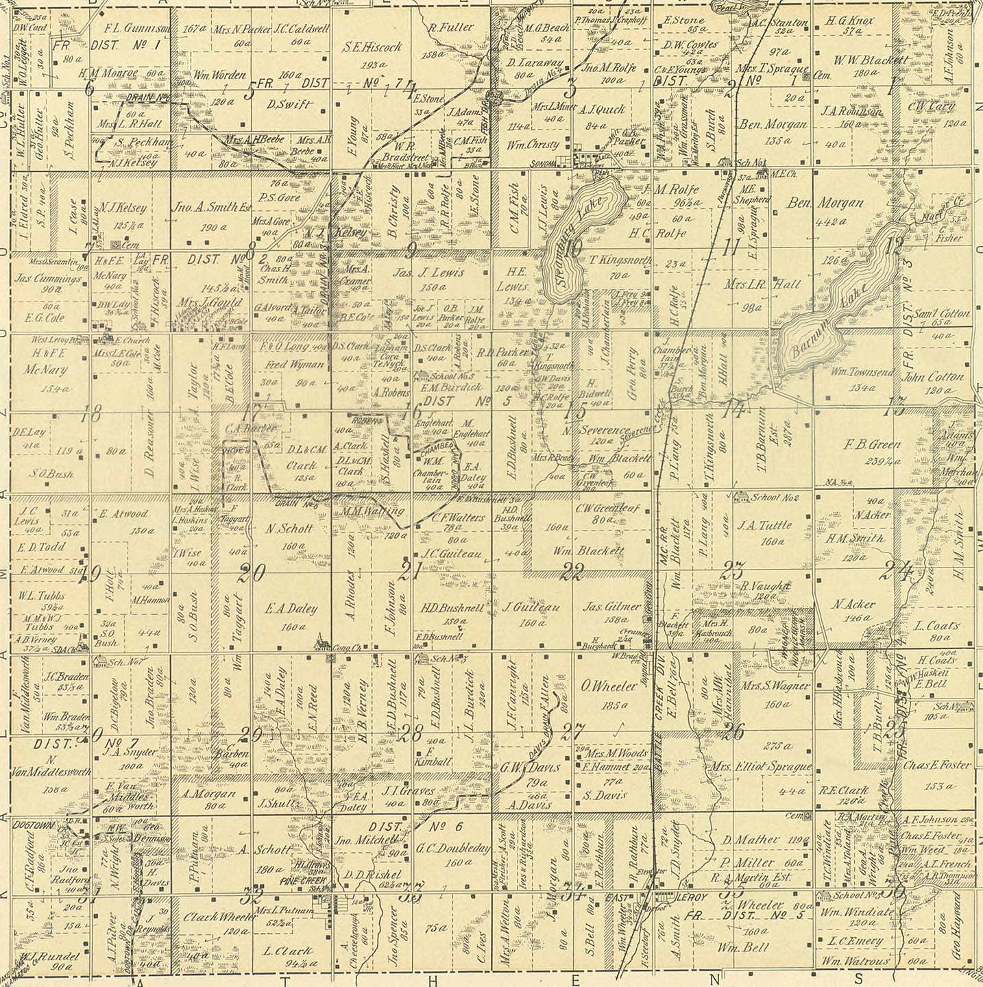 1894 Le Roy Township, Michigan landownership map