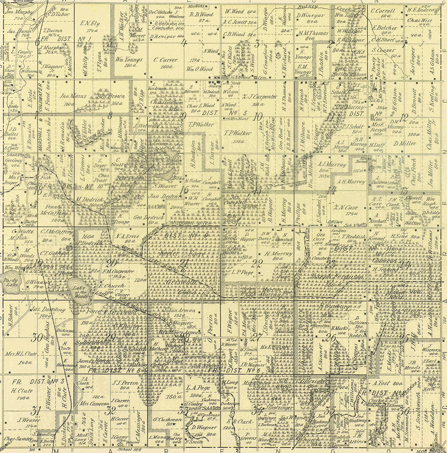 1894 Lee Township, Michigan landownership map