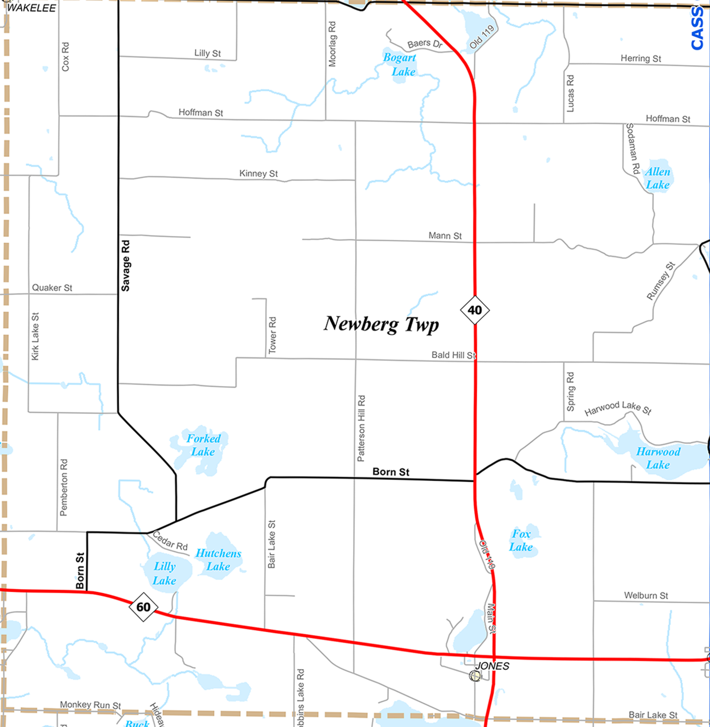 2010 Newberg Township Michigan map