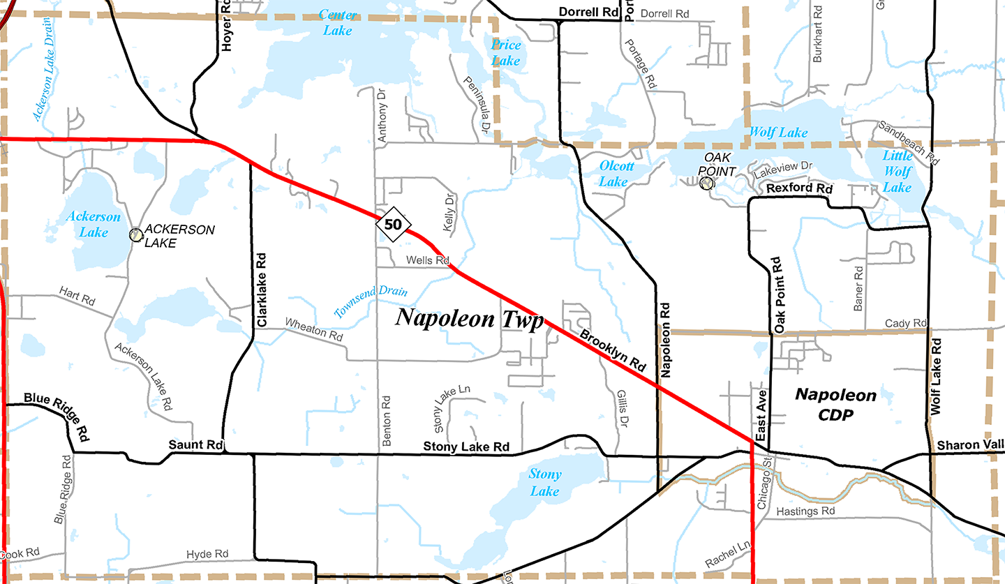 2009 Napoleon Township, Michigan map