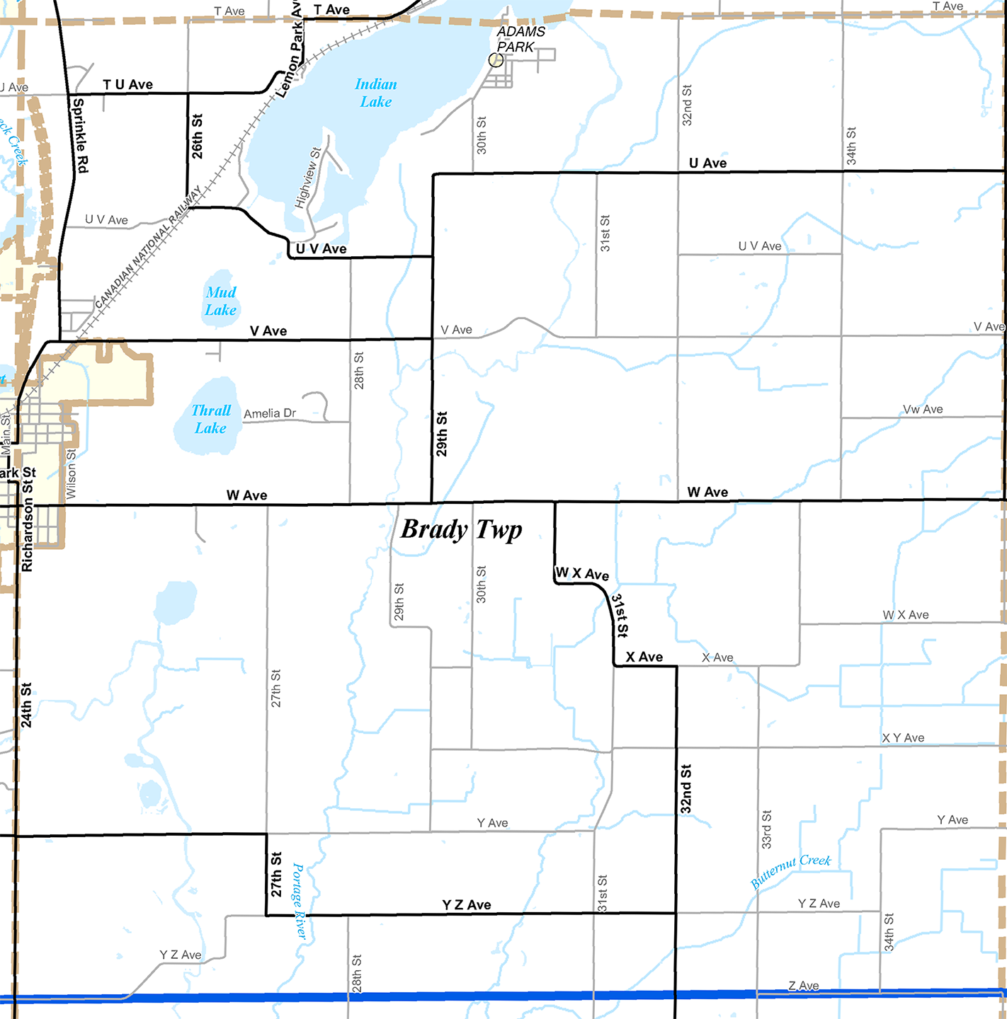 2009 Brady Township Michigan map