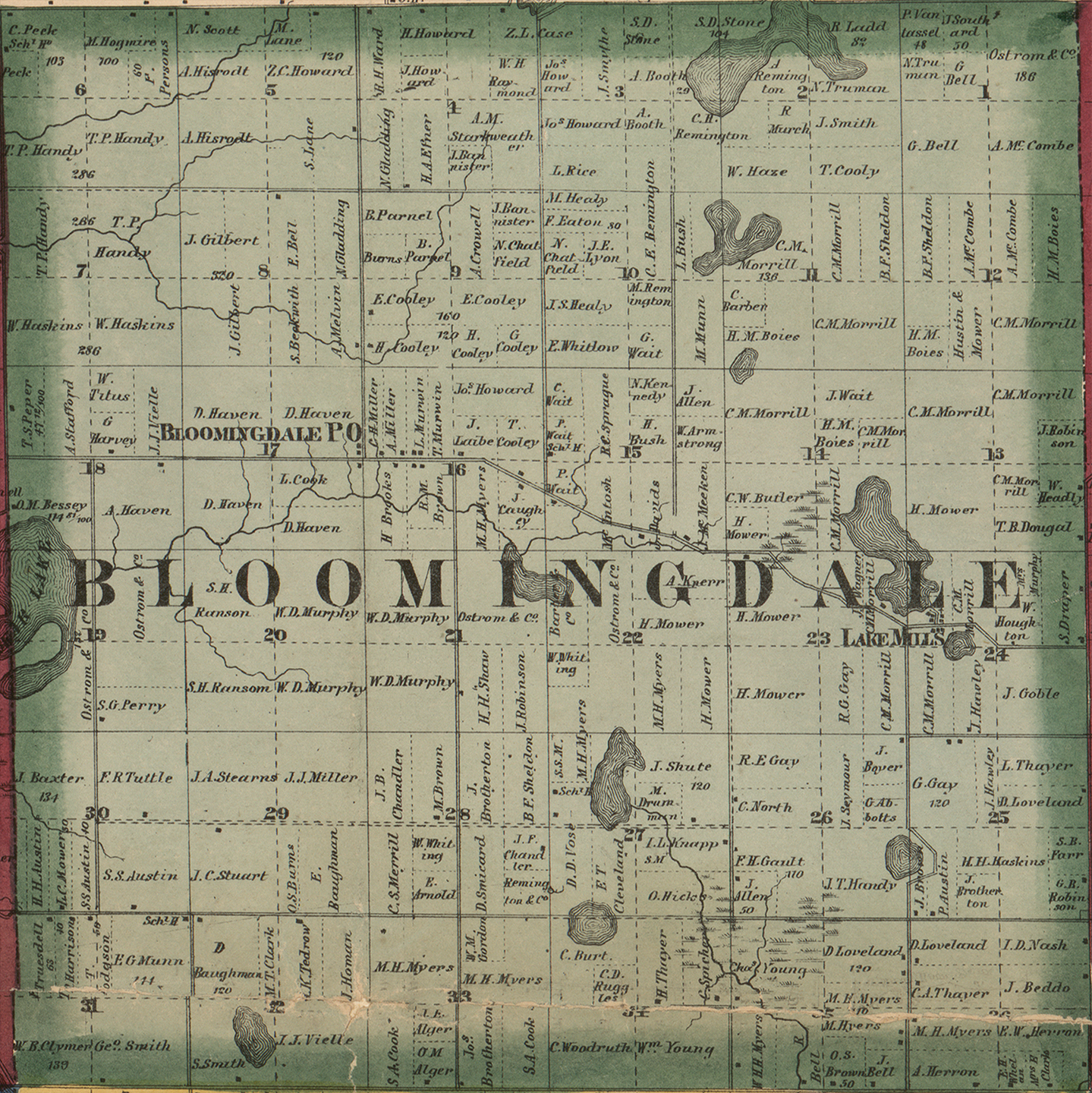 1860 Bloomingdale Township, Michigan landownership map