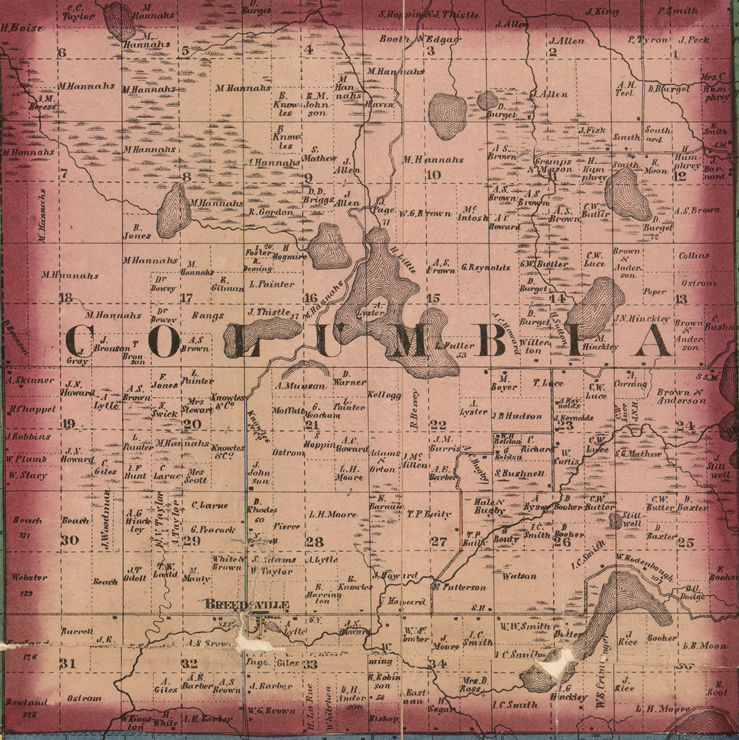 1860 Columbia Township, Michigan landownership map