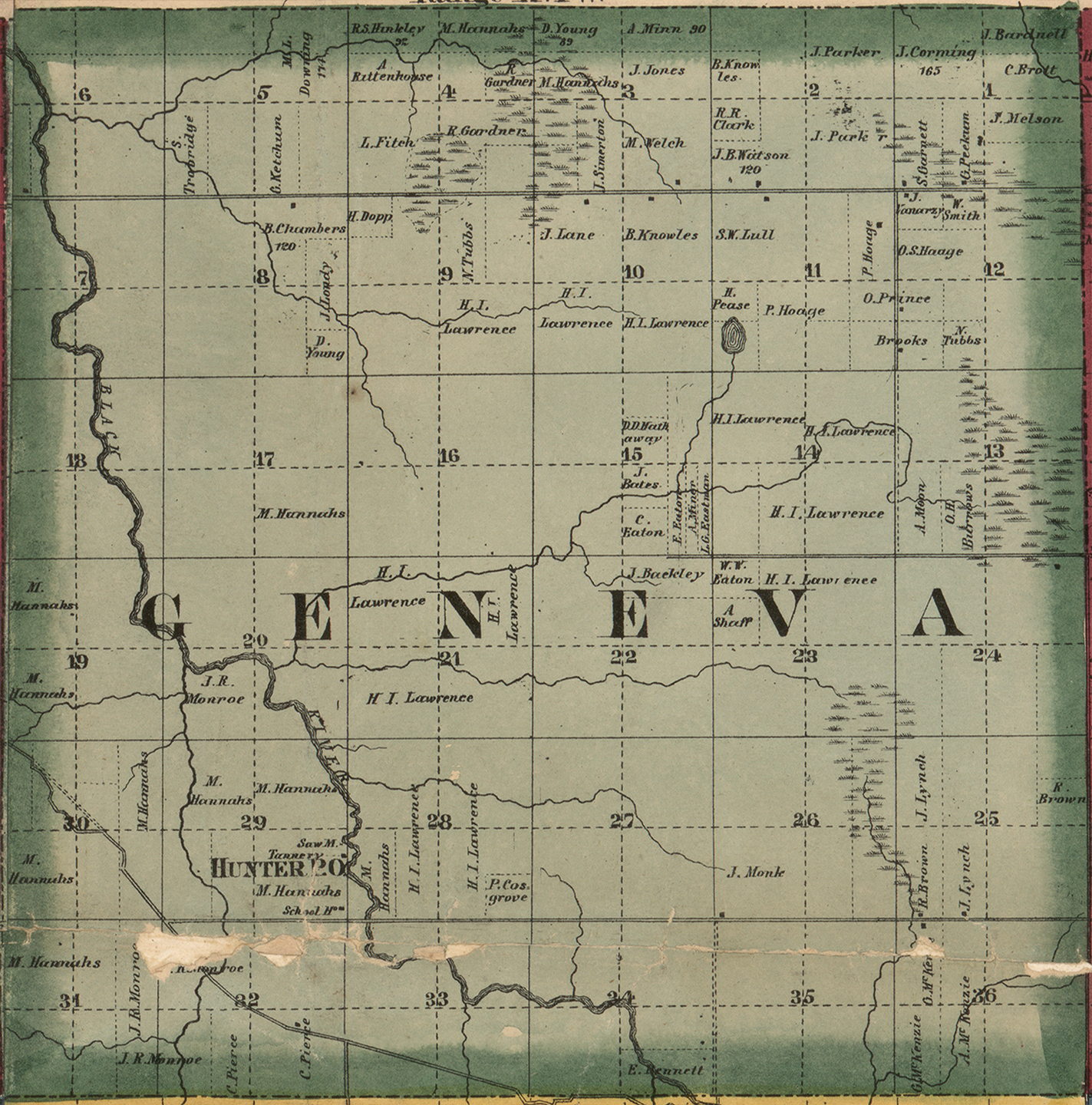 1860 Geneva Township, Michigan landownership map