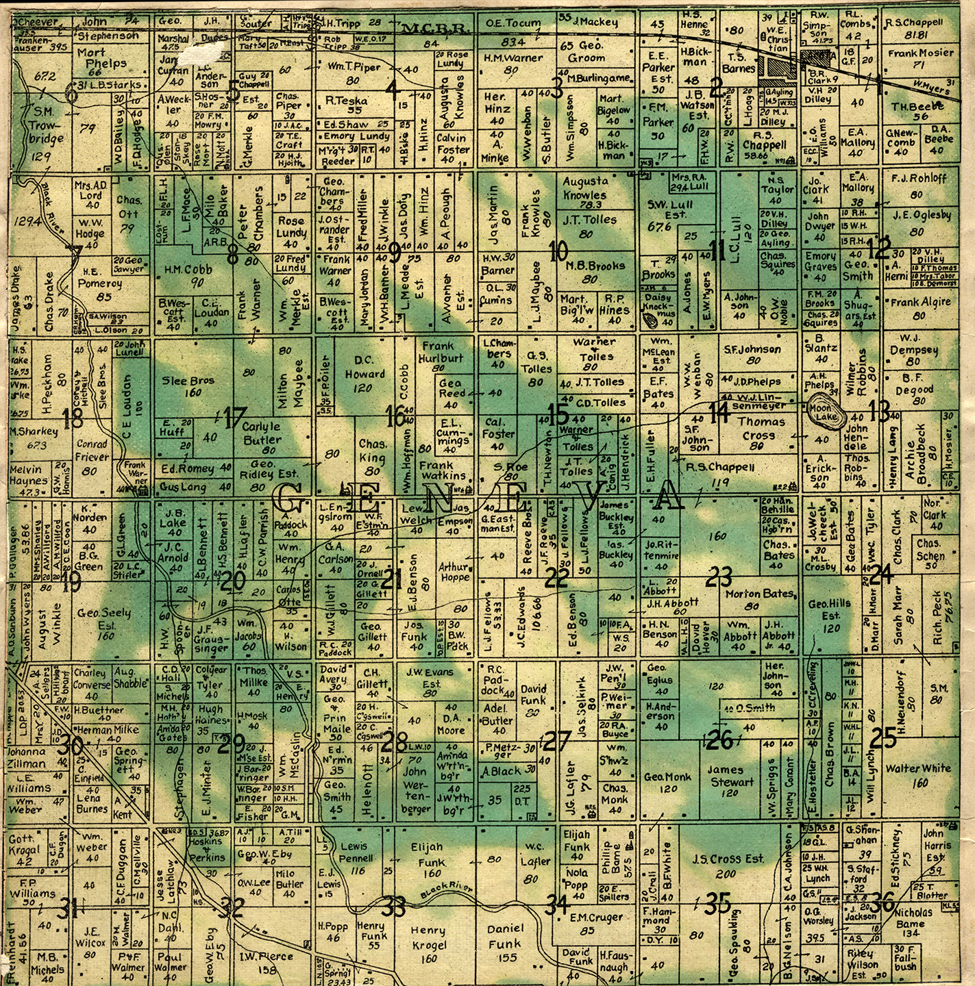 1906 Geneva Township, Michigan landownership map