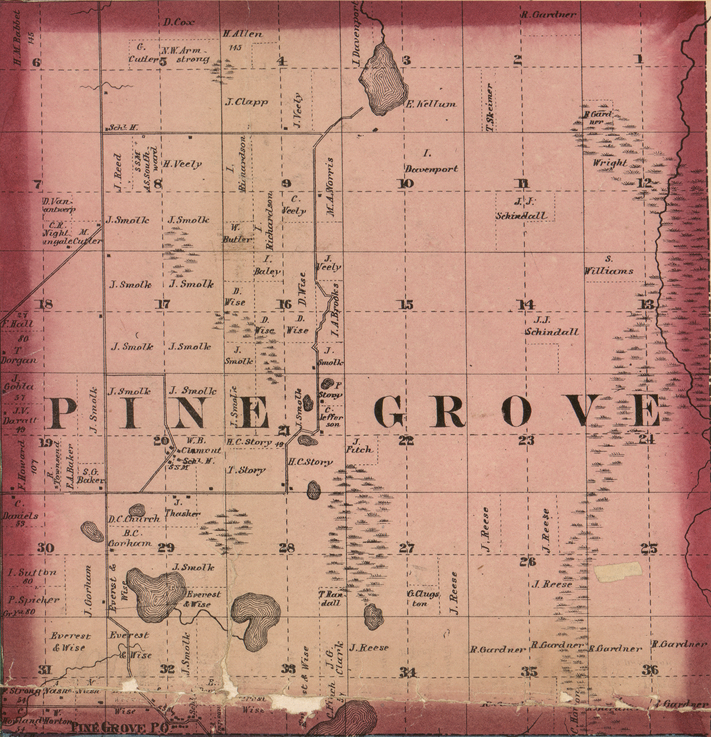 1860 PineGrove Township, Michigan landownership map